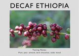Decaf Ethiopia - Lala Salama