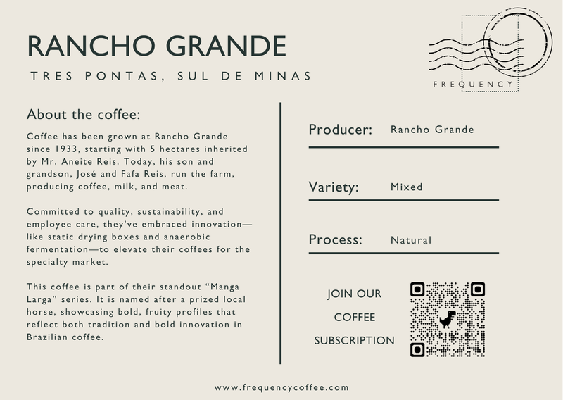 Brazil - Tres Pontas, Sul De Minas