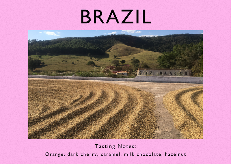 Brazil - Tres Pontas, Sul De Minas